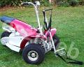 red cruiser + golfbag rack