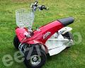 red cruiser + basket